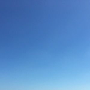 Meet your Posher, Judith